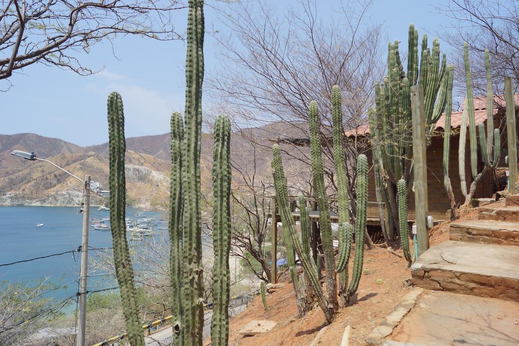 Hotel Cactus Taganga Zewnętrze zdjęcie